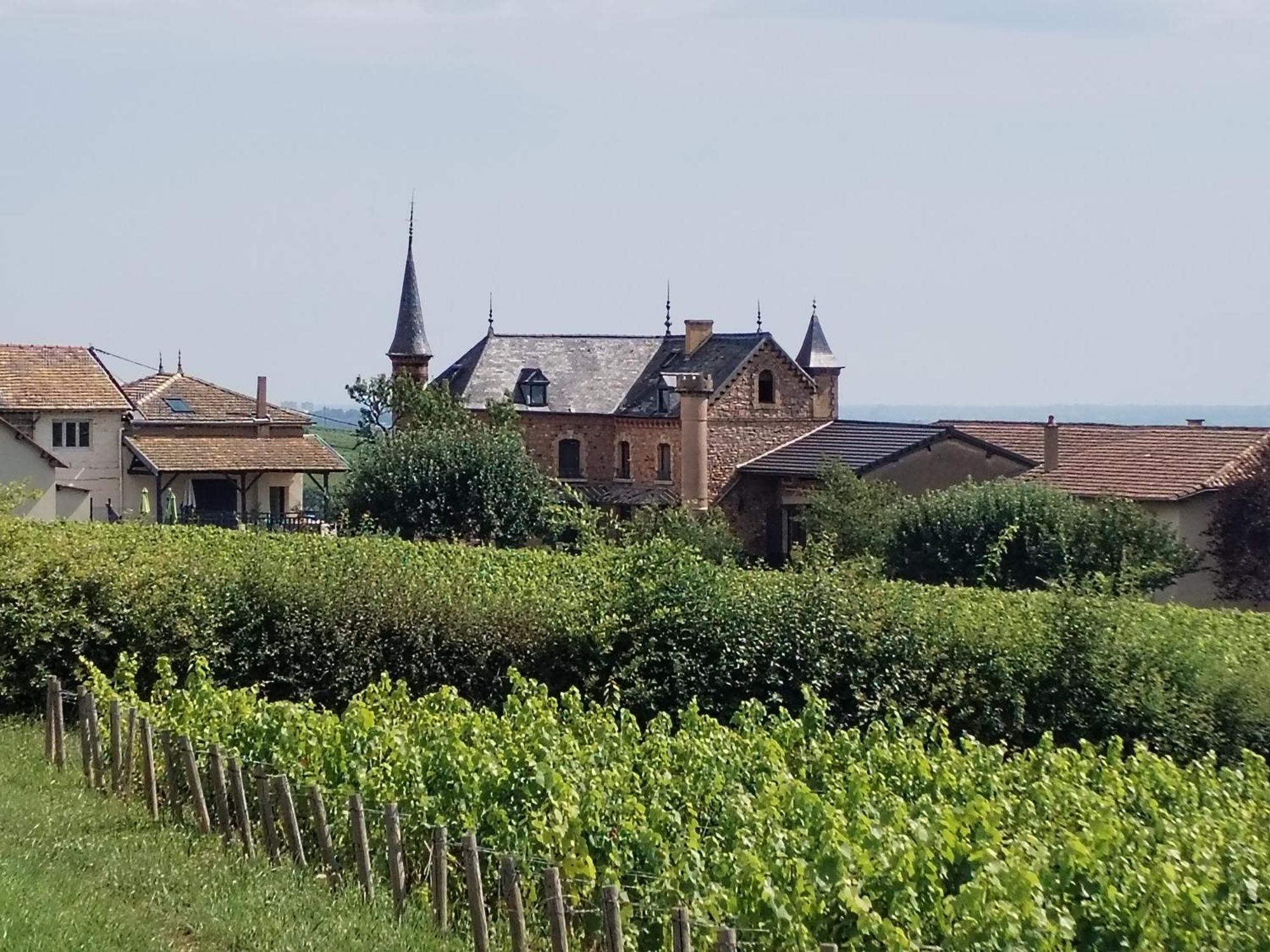 Le Petit Chateau De Sathonat - Horizon Paradis Saint-Amour-Bellevue Екстер'єр фото